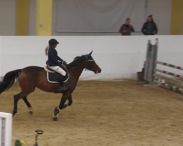 Springturnier Stadl Paura 2023