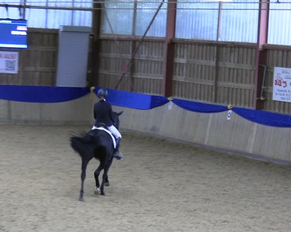 Reitturnier Villmar 2023