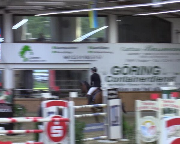 Reitturnier Vreden 2023