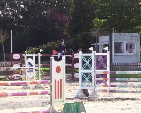 Reitturnier Schülp / Rendsburg 2023