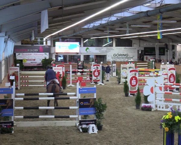Reitturnier Vreden 2023