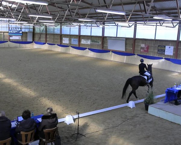 Reitturnier Villmar 2023