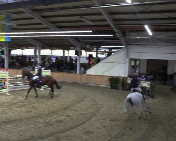Reitturnier Vreden 2023