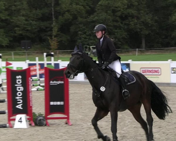 Reitturnier Essen - Herbstturnier 2023