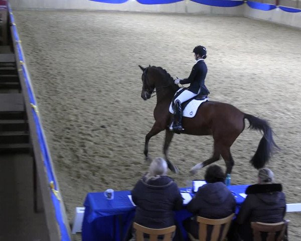 Reitturnier Villmar 2023