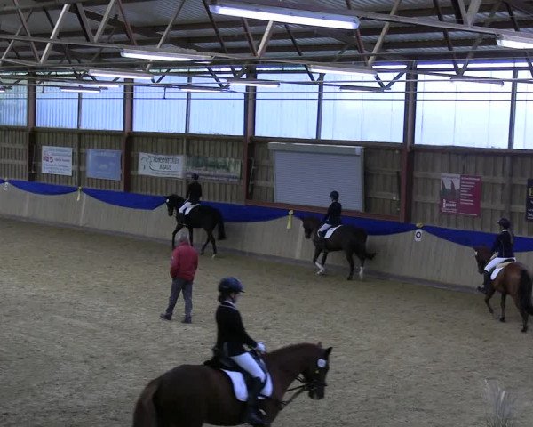 Reitturnier Villmar 2023