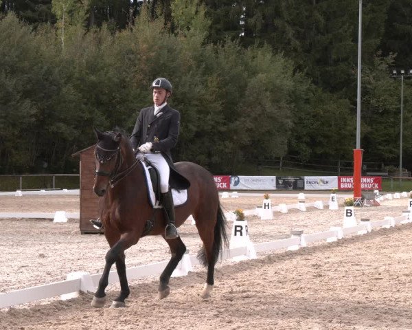 Dressurturnier Igls 2023