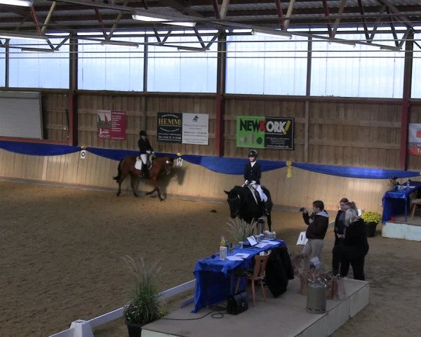 Reitturnier Villmar 2023