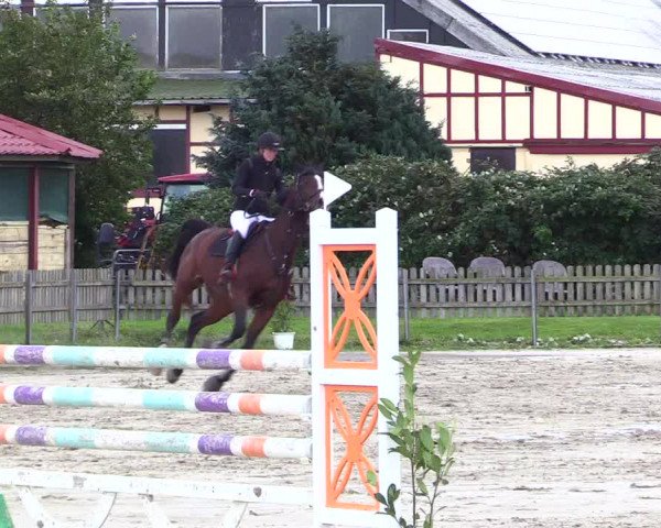 Reitturnier Schülp / Rendsburg 2023