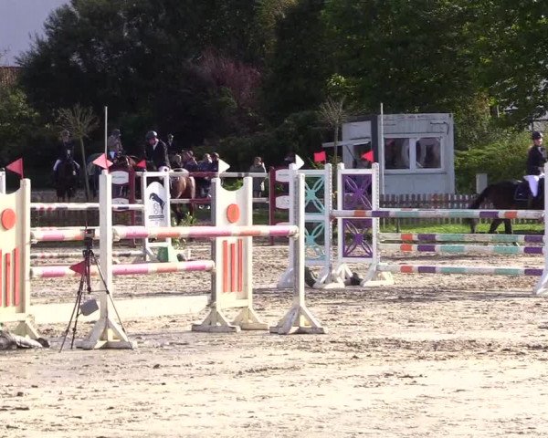 Reitturnier Schülp / Rendsburg 2023