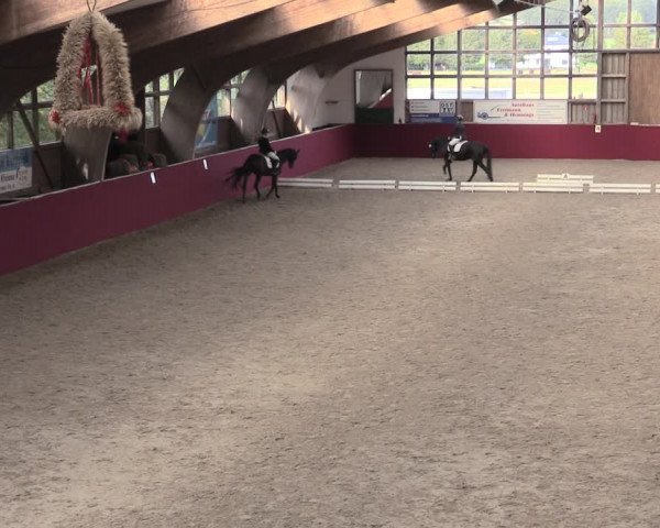 Reitturnier Krumke 2023