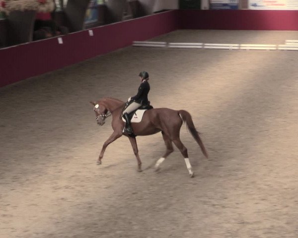 Reitturnier Krumke 2023