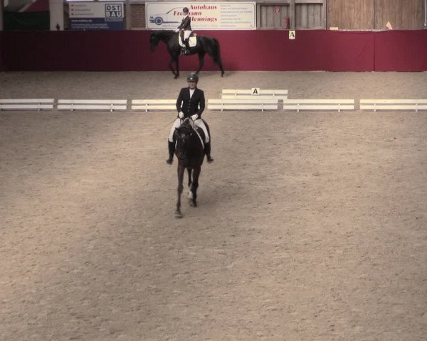 Reitturnier Krumke 2023