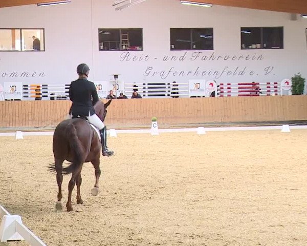 Reitturnier Grafenrheinfeld/Ufr. 2023