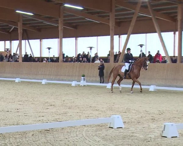 Reitturnier Grafenrheinfeld/Ufr. 2023