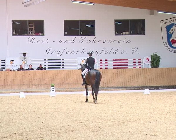 Reitturnier Grafenrheinfeld/Ufr. 2023