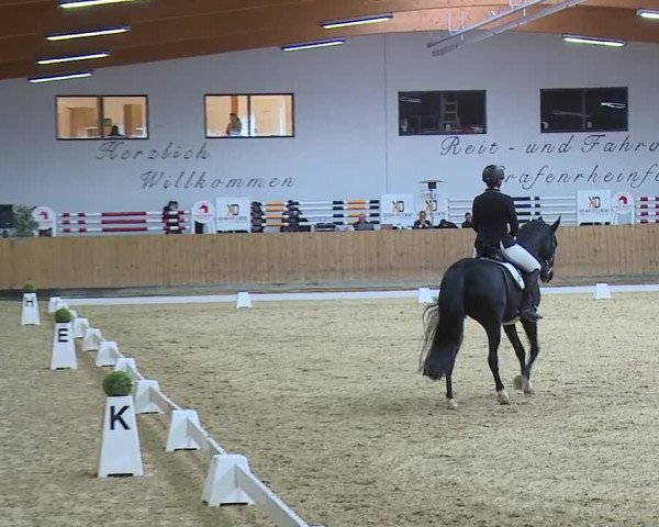 Reitturnier Grafenrheinfeld/Ufr. 2023