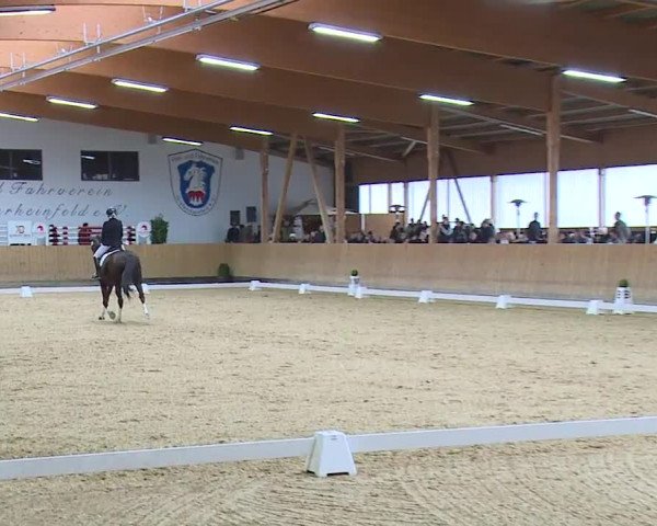 Reitturnier Grafenrheinfeld/Ufr. 2023