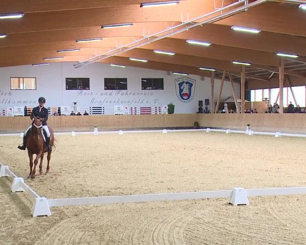 Reitturnier Grafenrheinfeld/Ufr. 2023