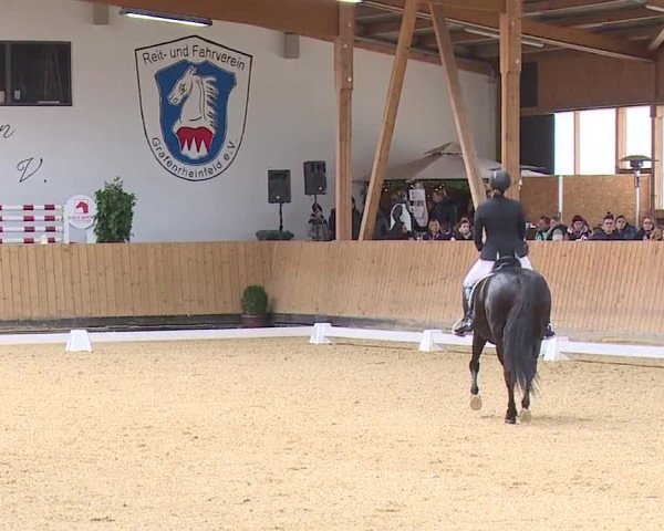 Reitturnier Grafenrheinfeld/Ufr. 2023