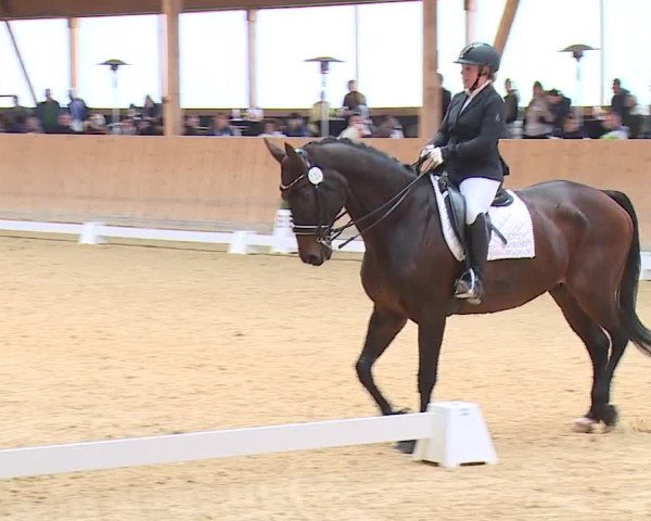 Reitturnier Grafenrheinfeld/Ufr. 2023