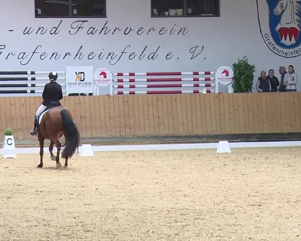 Reitturnier Grafenrheinfeld/Ufr. 2023
