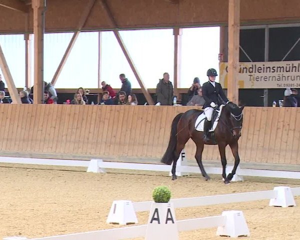 Reitturnier Grafenrheinfeld/Ufr. 2023