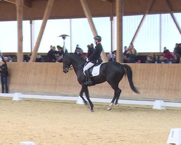 Reitturnier Grafenrheinfeld/Ufr. 2023