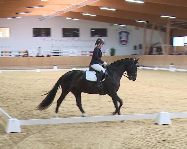Reitturnier Grafenrheinfeld/Ufr. 2023