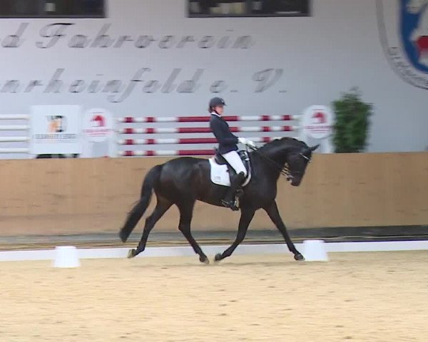 Reitturnier Grafenrheinfeld/Ufr. 2023
