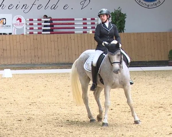 Reitturnier Grafenrheinfeld/Ufr. 2023