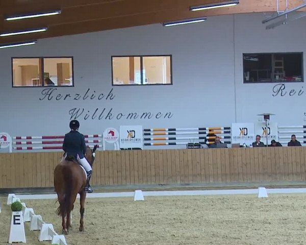 Reitturnier Grafenrheinfeld/Ufr. 2023