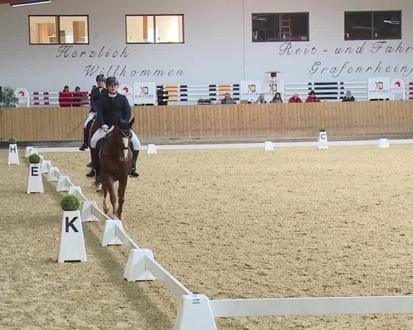 Reitturnier Grafenrheinfeld/Ufr. 2023
