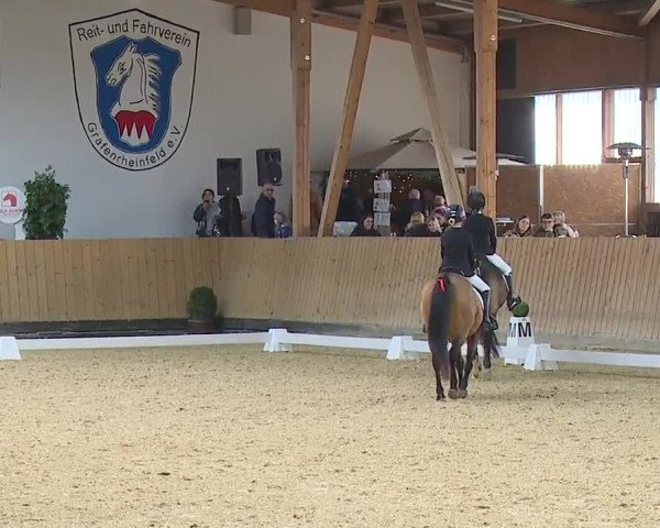 Reitturnier Grafenrheinfeld/Ufr. 2023