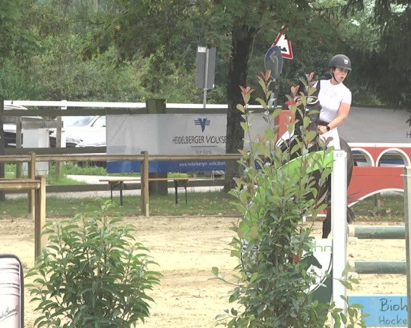 Springturnier Walldorf/Winterheck 2021