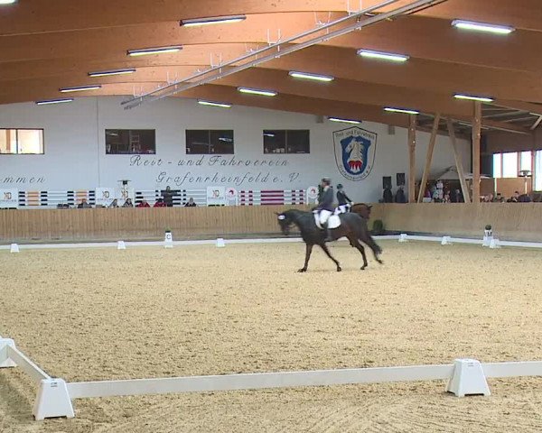 Reitturnier Grafenrheinfeld/Ufr. 2023