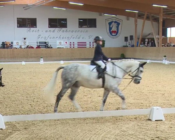 Reitturnier Grafenrheinfeld/Ufr. 2023