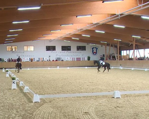 Reitturnier Grafenrheinfeld/Ufr. 2023