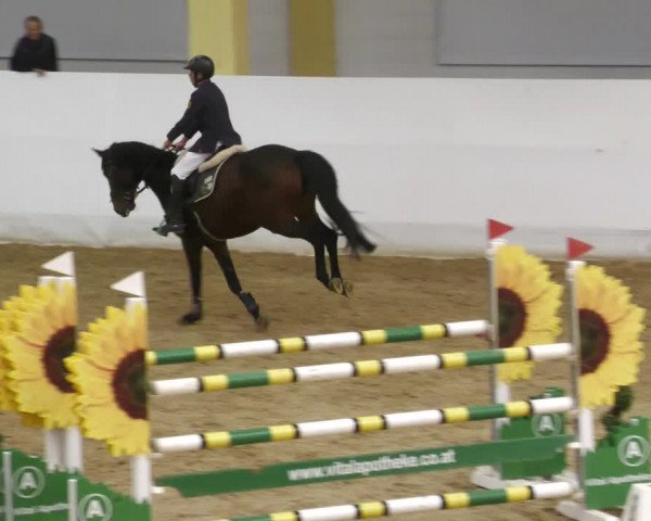 Springturnier Stadl Paura 2023