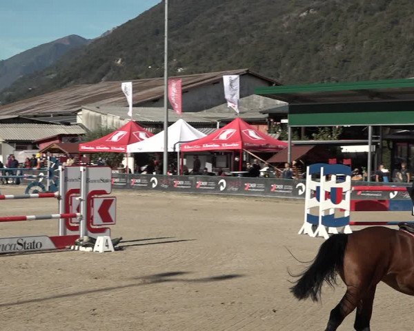 Reitturnier Giubiasco 2023