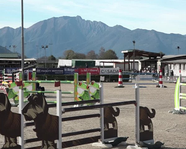 Reitturnier Giubiasco 2023