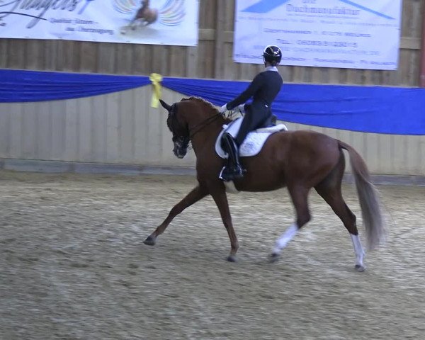 Reitturnier Villmar 2023
