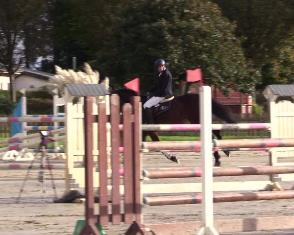 Reitturnier Schülp / Rendsburg 2023