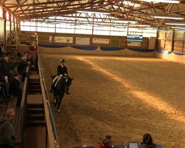 Reitturnier Villmar 2023