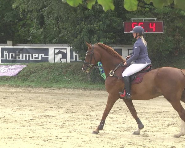 Springturnier Walldorf/Winterheck 2021