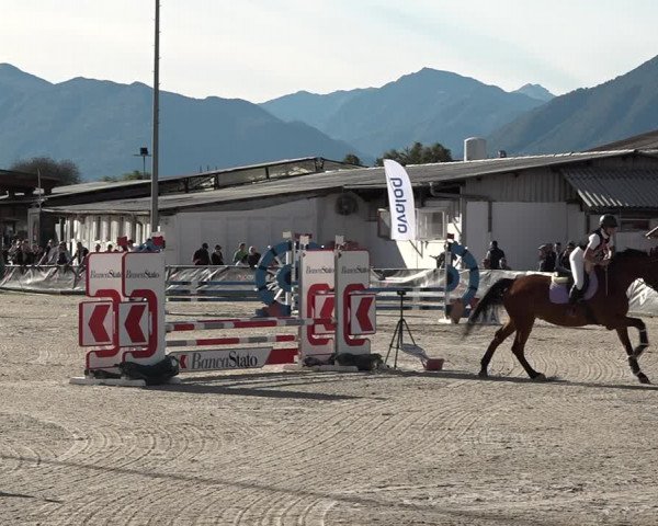 Reitturnier Giubiasco 2023