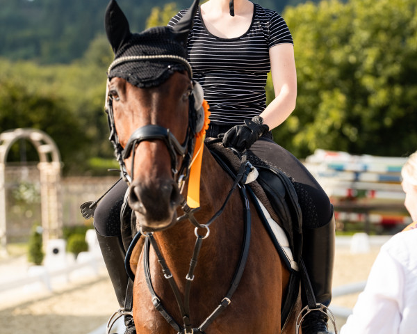 jumper Calista Bs (Holsteiner, 2011, from Cassin 2)