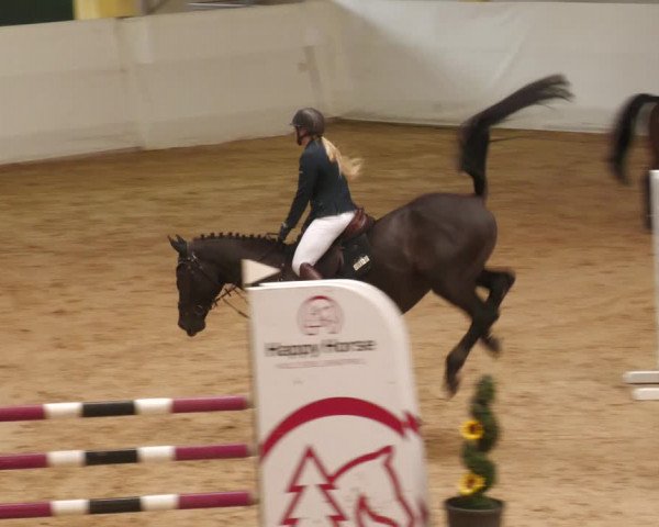 Springturnier Stadl Paura 2023