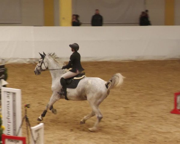Springturnier Stadl Paura 2023