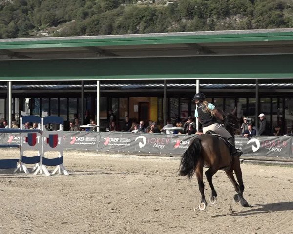 Reitturnier Giubiasco 2023